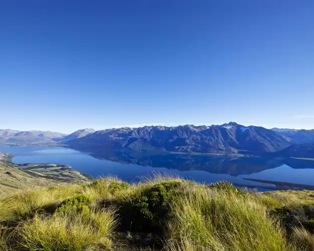 新西兰,湖,山,草,自然景观 壁纸