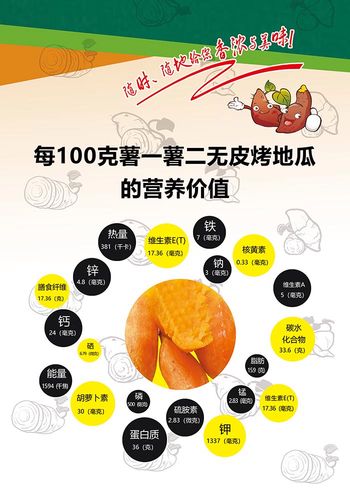 m768烤红薯营养价值图解小吃美食食店宣传贴画写真