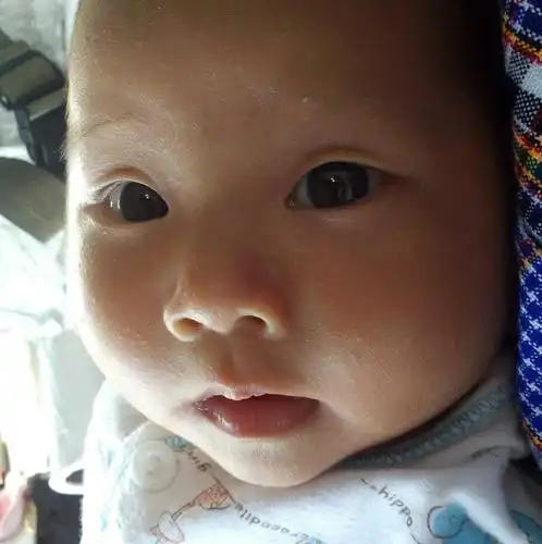 传说中的神珠 宝宝8周lv.