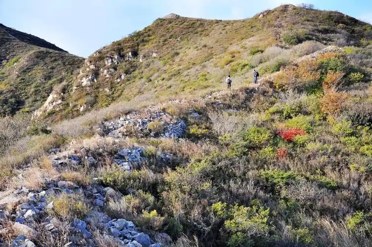 [【三人行——穿越野山】