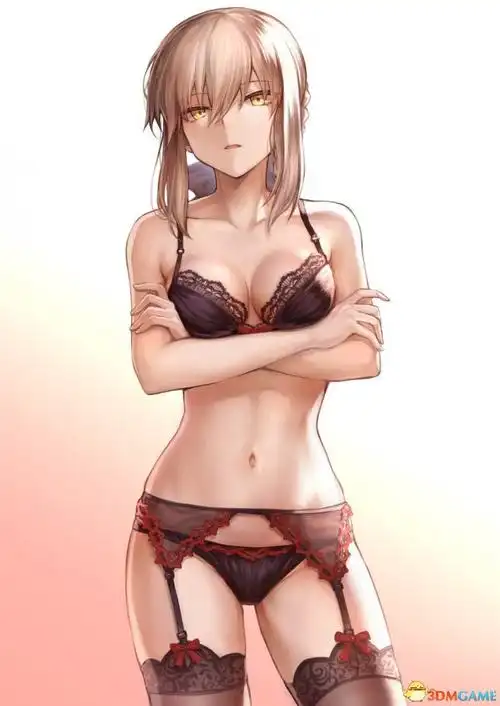 《fgo》《舰队收藏》内衣模特美图 让人把持不住