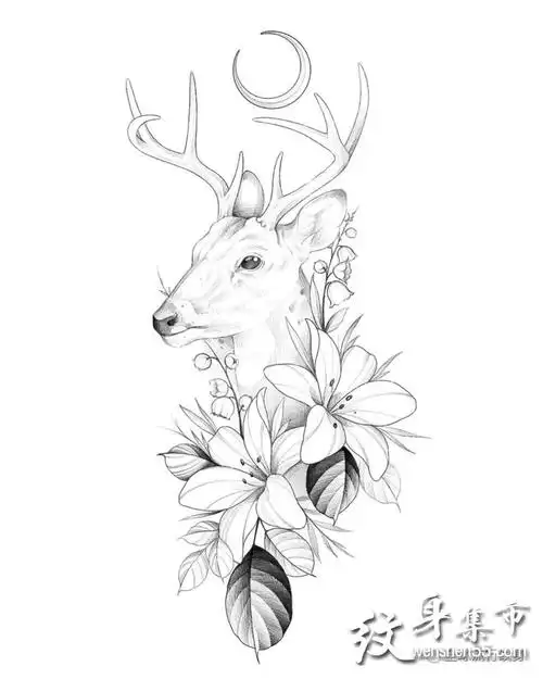 小清新纹身手稿,素花与蛇,鹿,虎纹身手稿