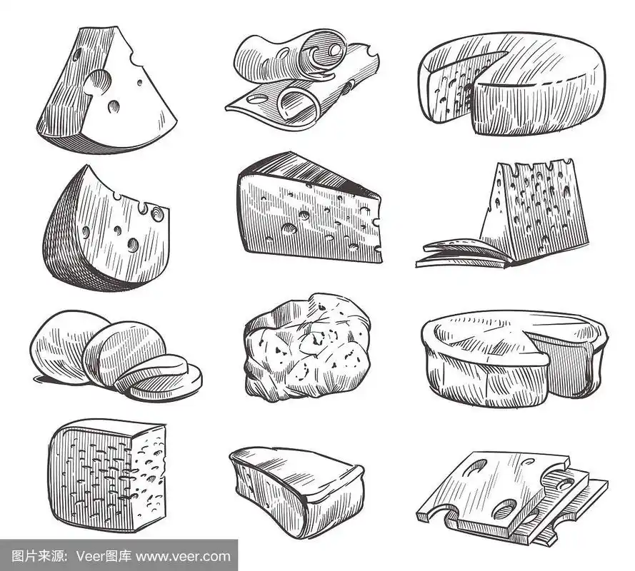 奶酪素描各种类型的奶酪新鲜