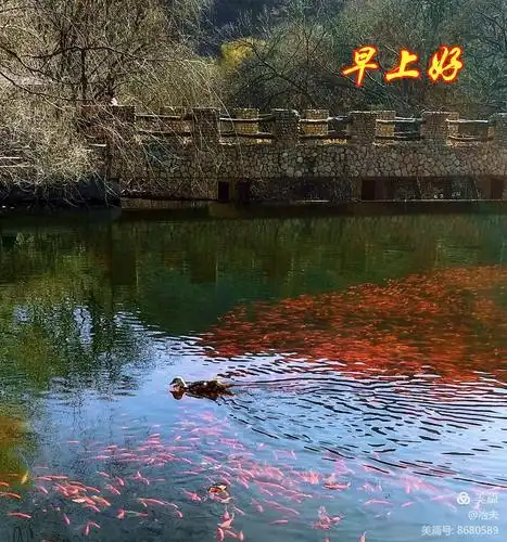 早上好篇(十一)