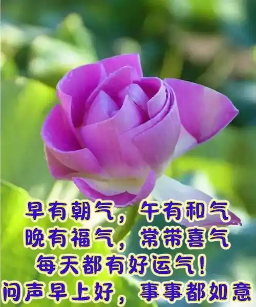 9张最新创意漂亮的早上好祝福图片带字温馨 2023唯美夏天早安问候祝福