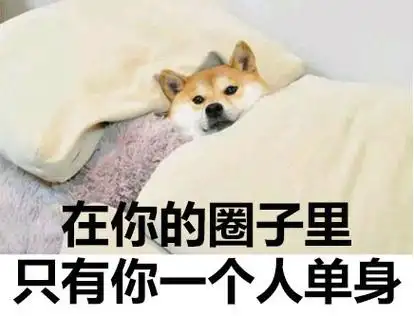 可怕的是在你的圈子里只有你一个人单身(哈哈哈哈) - 斗图表情包 - 金