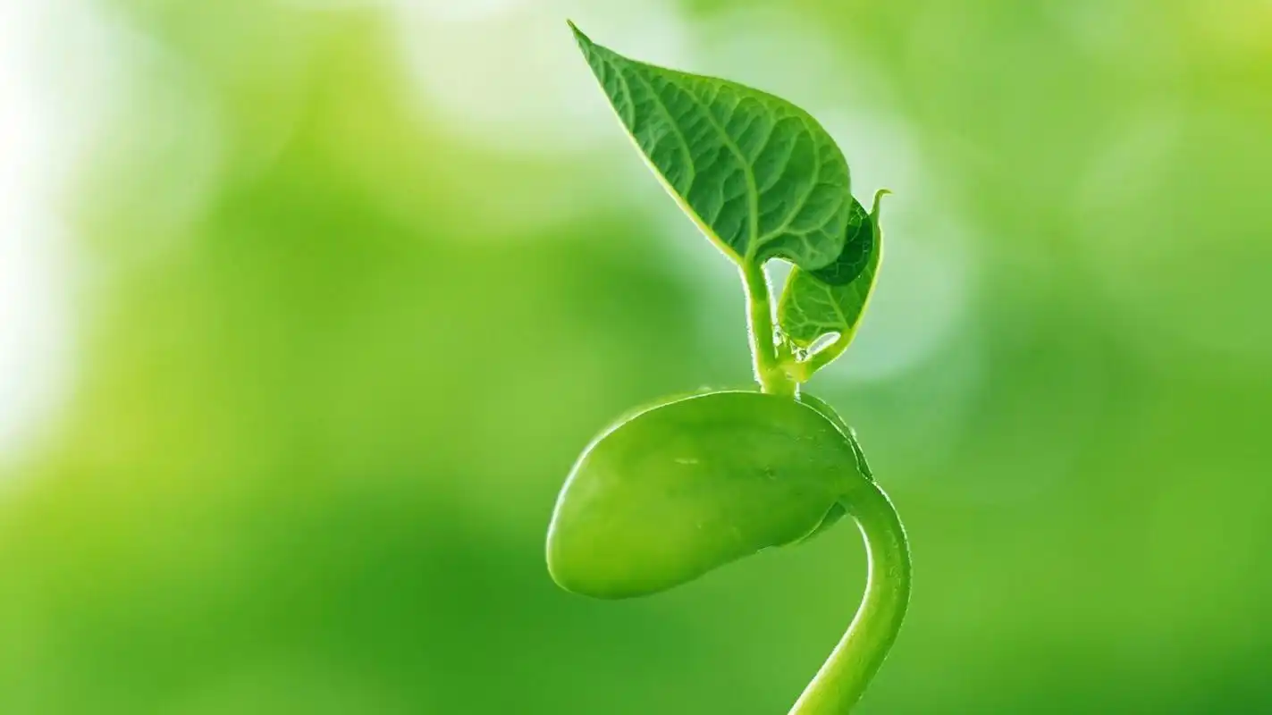 认知是指个体的知觉,思考,推理等一系列心智处理活动,它是个体与外界