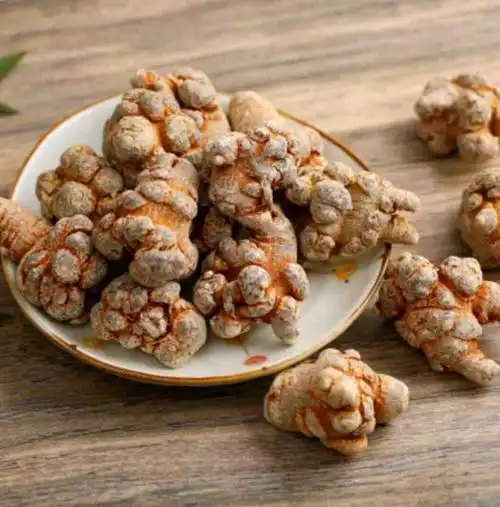 文山三七又名金不换名贵中药材―云南文山丘北特产