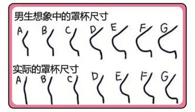 abcd罩杯按大小排序是d,c,b,a.abcd各个罩