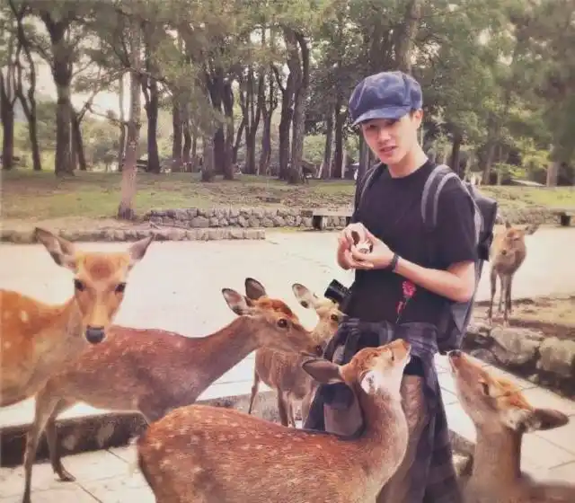 女朋友视角下的刘昊然:趴在枕头上的刘昊然,气质干净,阳光少年,十分有