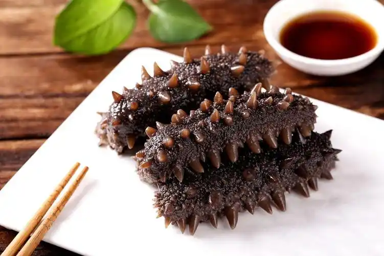 海参哪产的最好吃(我认为中国最好的海参—长岛)