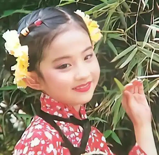 美国邻居出书,曝刘亦菲及母亲,在美国二婚的生活细节!