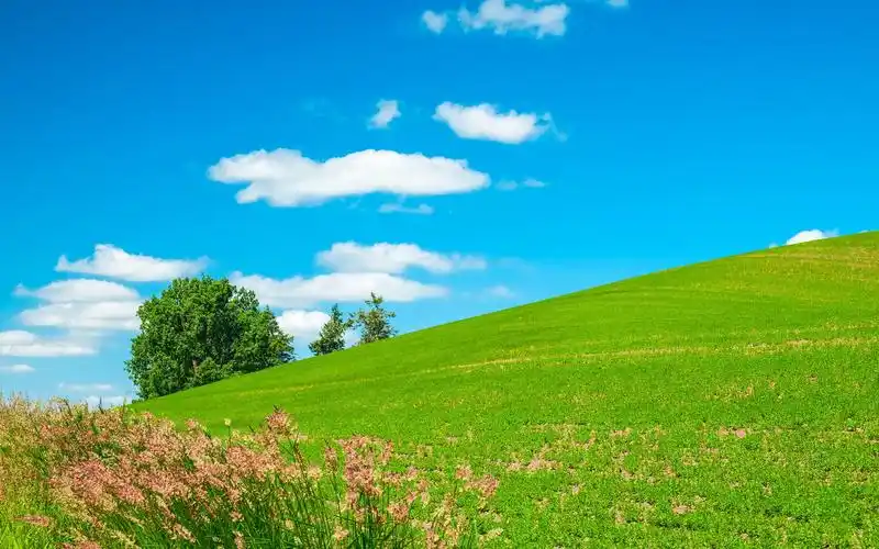 绿色护眼草原风景小清新唯美护眼高清壁纸