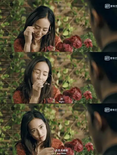 唐人街探案里面张钧甯那个角色也太美了吧