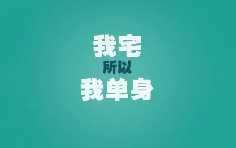 光棍节单身的原因