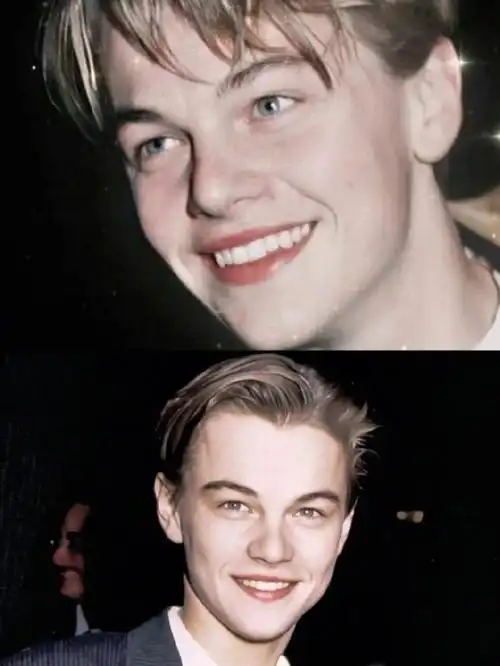 大众情人莱昂纳多电影推荐