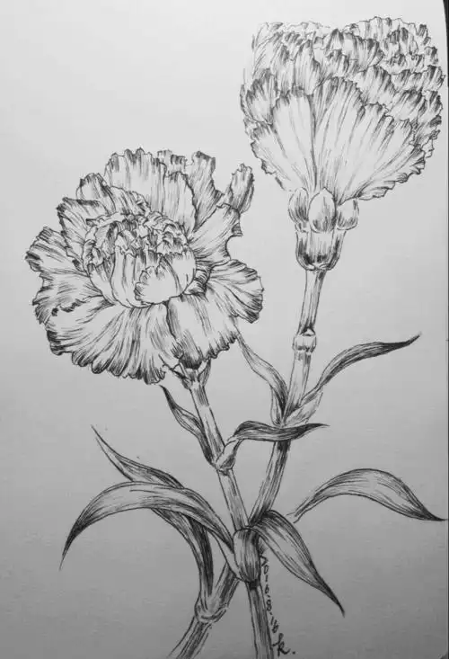 画一朵康乃馨 妈妈我爱你 - 堆糖,美图壁纸兴趣社区