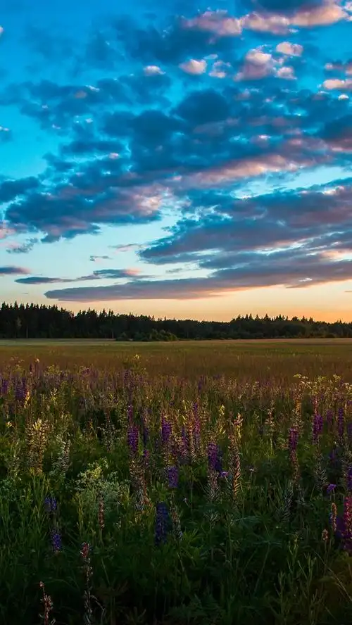 首页 自然与风景 日落和日出