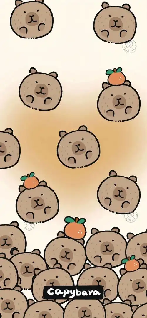 壁纸超话可爱水豚壁纸