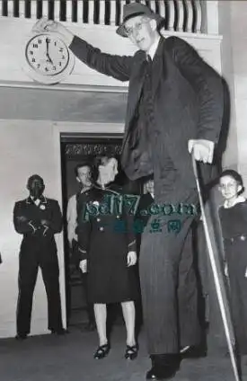 世界上身高最高的人top102