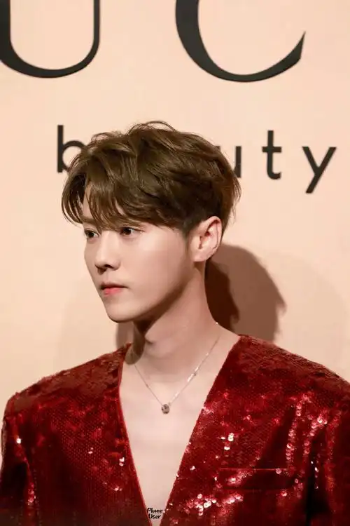 鹿晗红色亮片真空西装造型##鹿晗深v亮片西装造型路透