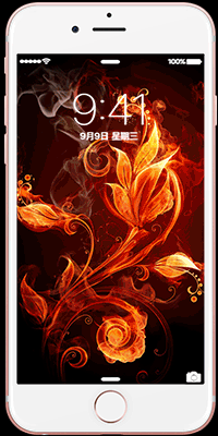 太阳动态 - 堆糖,美图壁纸兴趣社区