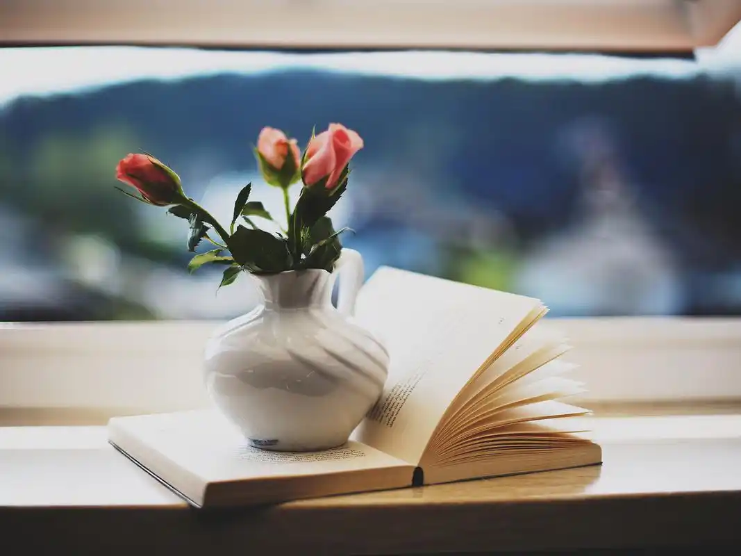 一个人的时光,心情札记,唯美,安静,花朵,房间,书,窗台,73moni,心情