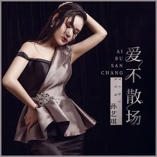 孙艺琪爱不散场dj沈念版