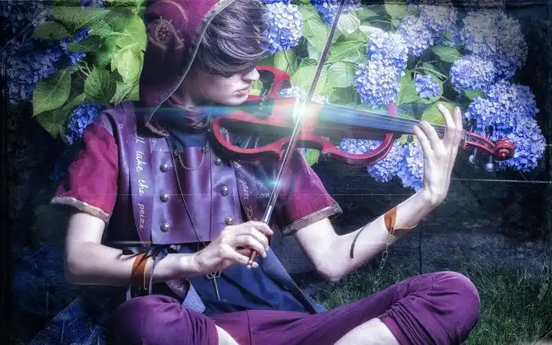 男孩演奏小提琴,花,音乐主题 壁纸