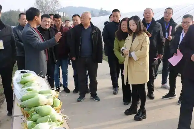 商城特色馆,达权店镇,分别参观了商城县辛店蔬菜种植合作社,商城特色