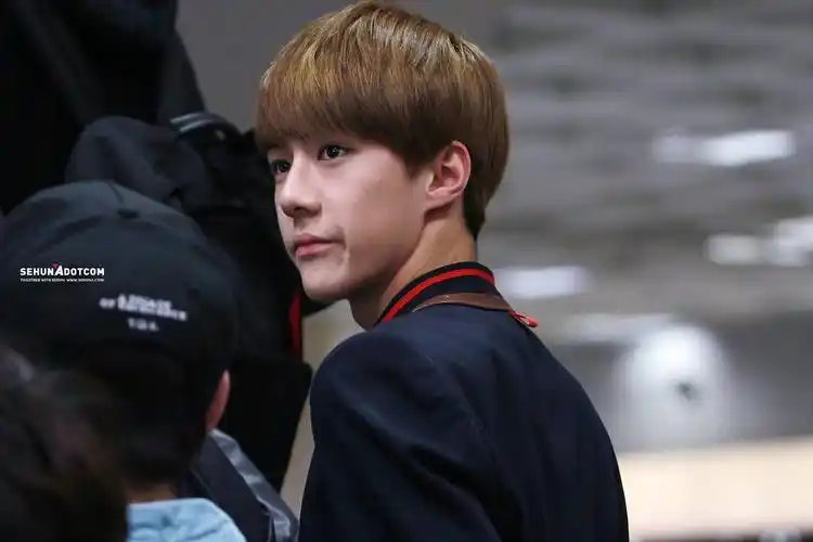 求一下吴世勋刚刚出道时候的图