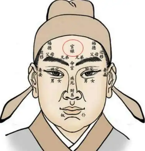 额头窄凸的女人面相_窄额头面相的女人婚姻_女人额头窄颧骨高面相解析