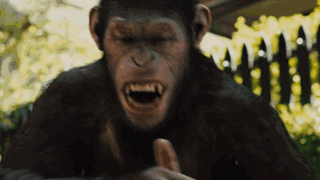 凯撒在笼中遭受凌辱后,偷来药物让所有的猩猩都拥有了更高的智慧.