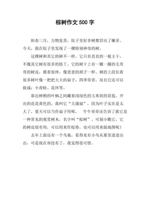棕树作文500字