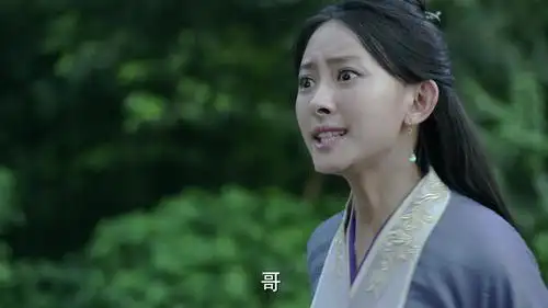 电视剧《庆余年》,言冰云&沈婉儿截图,沈大小姐替小言公子挡刀.