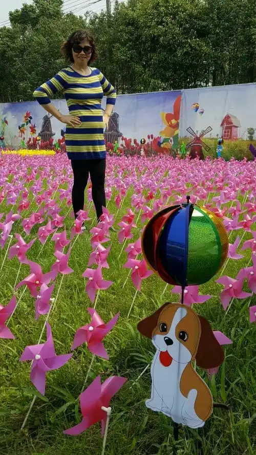 番禺海傍水乡大风车节