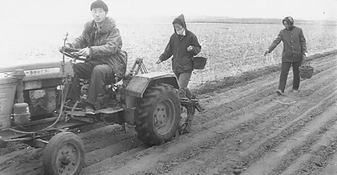 上世纪90年代,农村播种还是人工点种.