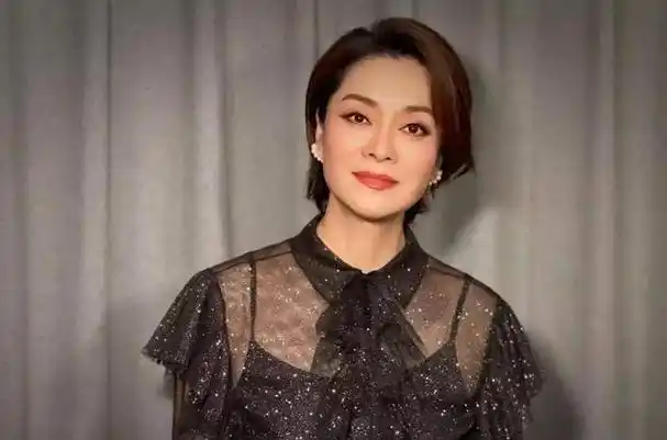 提到曾经在歌坛上熠熠生辉的毛阿敏,不得不提她在当时给观众带来的