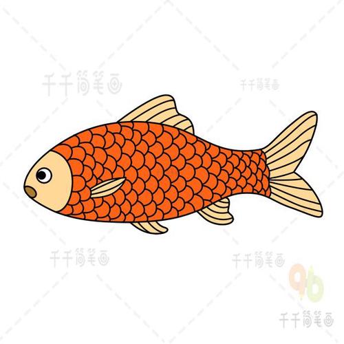 儿童画鱼简笔画