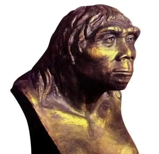 北京人复原头像,女性