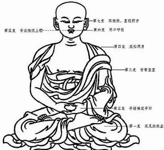 七支坐法的要点南怀瑾讲授