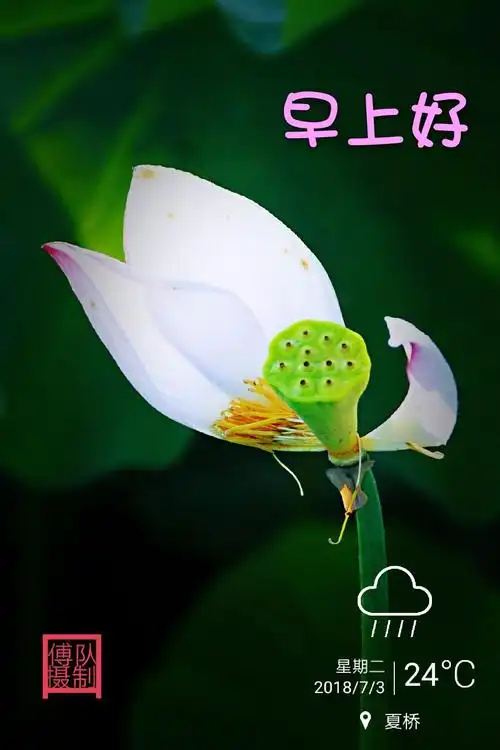 问候摄影作品"早上好"第三季,与大家见面. - 美篇