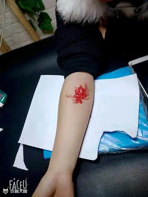 彼岸花_纹身图案手稿图片_史义林的纹身作品集