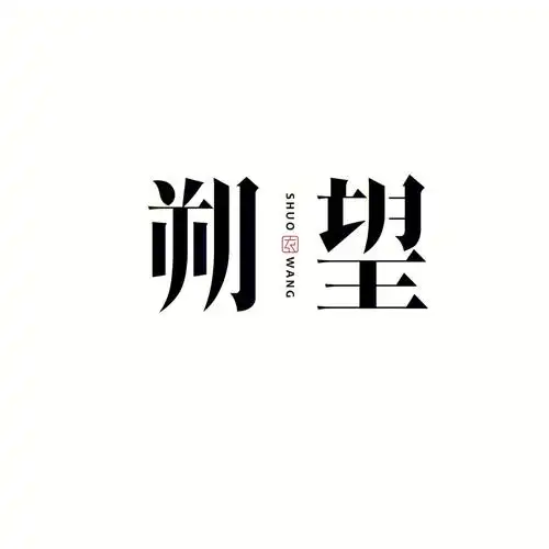 原创字体logo设计塑望