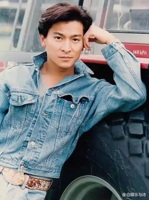 无论是分开看还是整体看,刘德华的五官和脸型都没有任何缺陷.