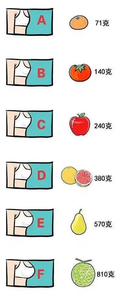 你希望你女朋友的胸是什么水果?