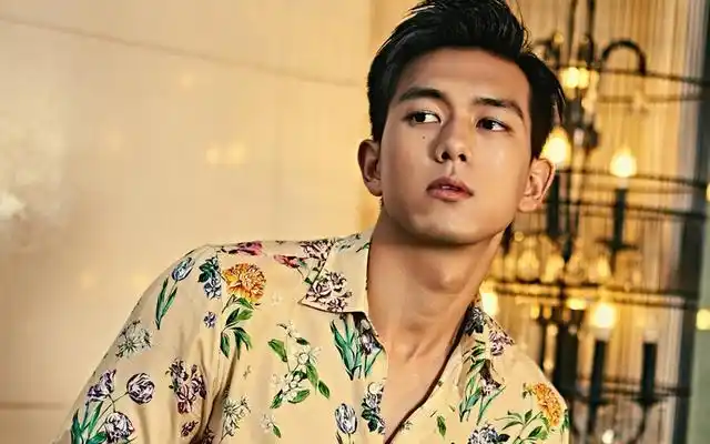 演员李现现在怎么样了(从荆州小胖到)(6)