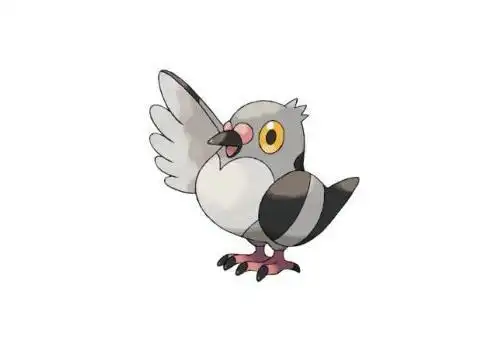 《精灵宝可梦》图鉴519:非常健忘有时会导致拖累对战——豆豆鸽