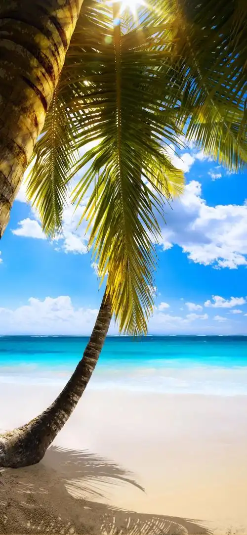 有没有那种4k画质的超高清壁纸