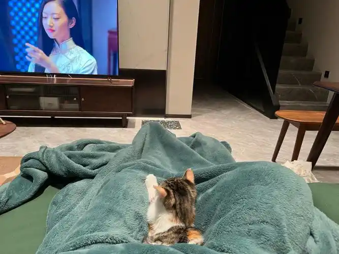 真是一个乖巧可爱的宝贝鹅还会陪妈妈看电视